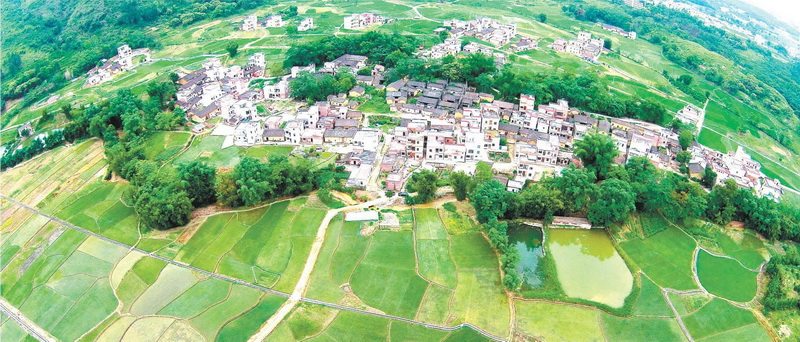 陽山縣太平鎮(zhèn)白花村中心小組,村中整合前的土地分布零散,由原來的78塊田整合成33塊田。