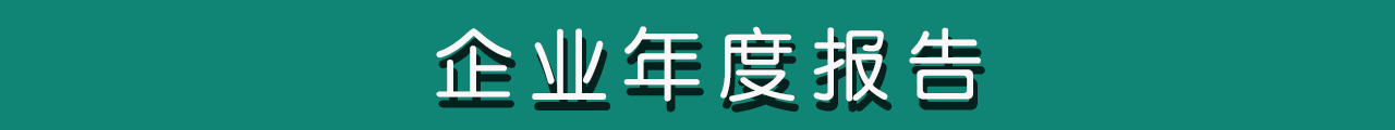 企業(yè)年度報(bào)告